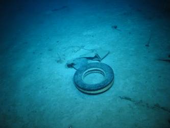 Rubber tyre - possibly from aircraft